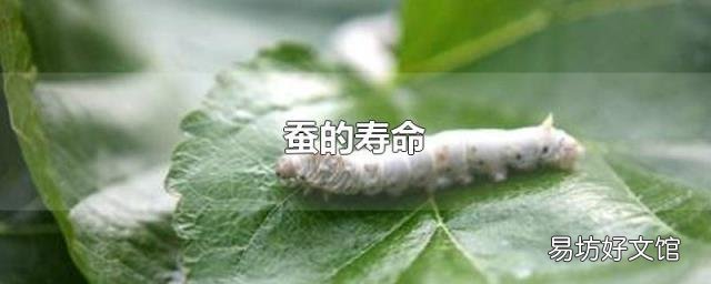 蚕的寿命