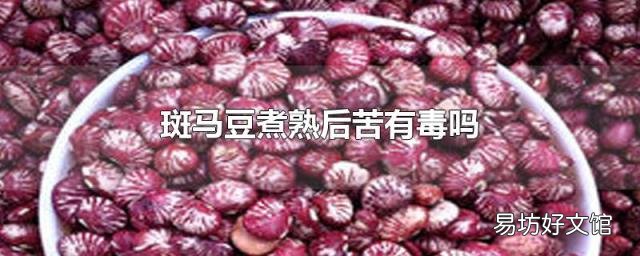 斑马豆煮熟后苦有毒吗