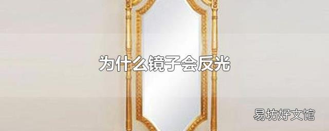 为什么镜子会反光