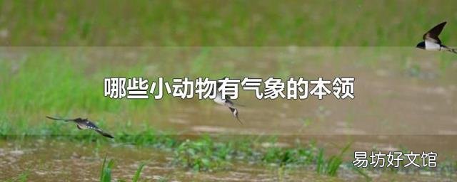 哪些小动物有气象的本领