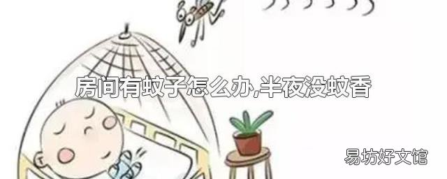 房间有蚊子怎么办,半夜没蚊香