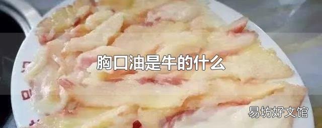 胸口油是牛的什么