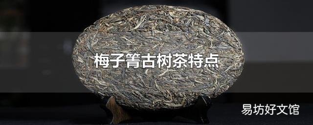 梅子箐古树茶特点