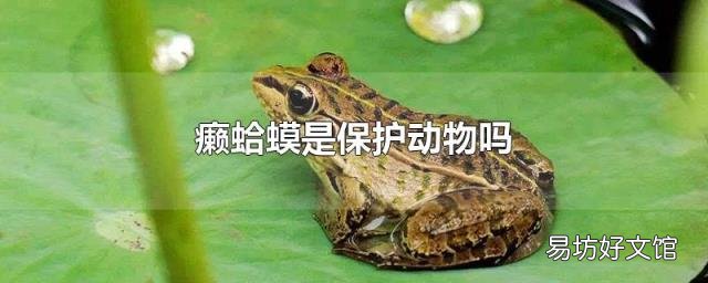 癞蛤蟆是保护动物吗