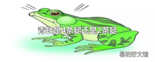 青蛙是4条腿还是2条腿