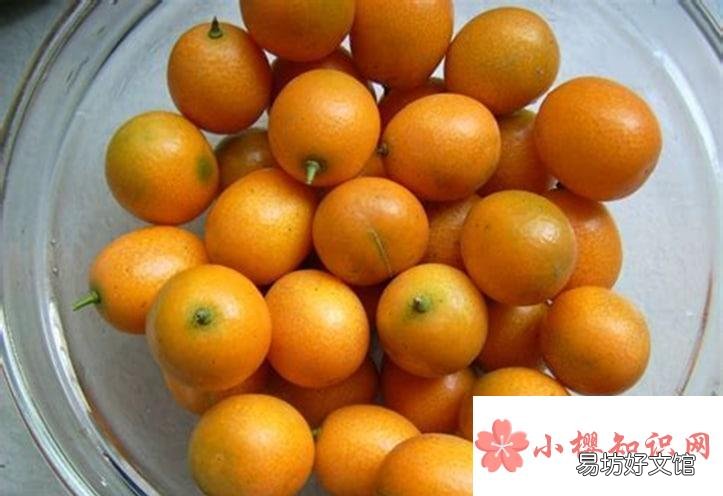 咸金桔要怎么制作