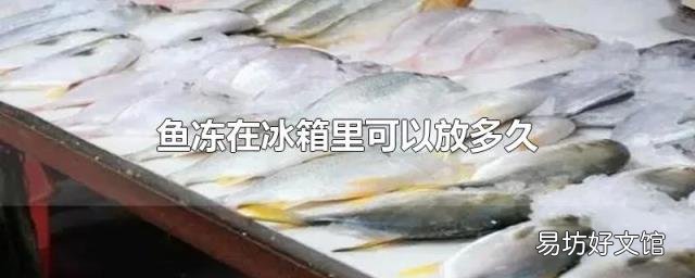 鱼冻在冰箱里可以放多久