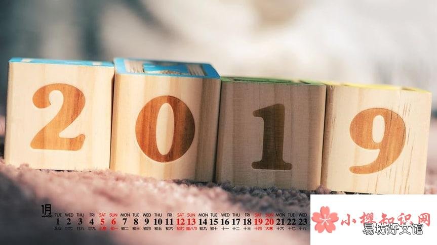 为什么2019年这么难