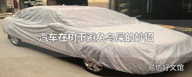 汽车在树下避免鸟屎的妙招