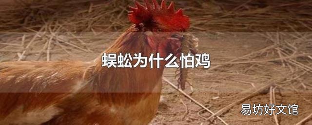 蜈蚣为什么怕鸡