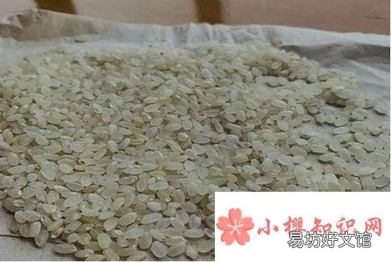 大米快发霉应该怎么处理
