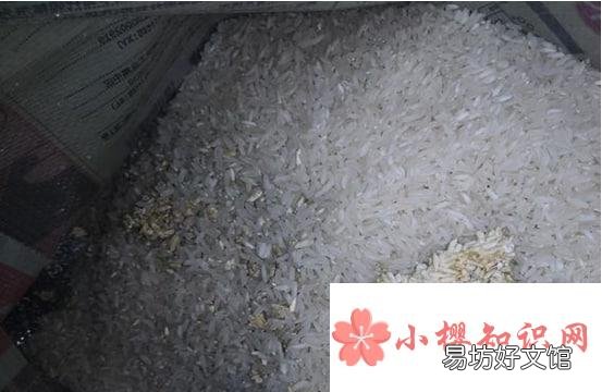 大米快发霉应该怎么处理