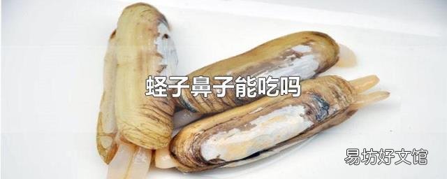 蛏子鼻子能吃吗