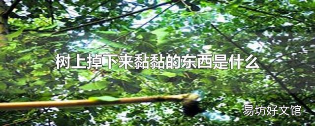 树上掉下来黏黏的东西是什么