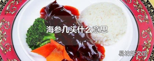 海参几头什么意思