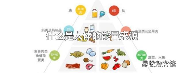 什么是人体的能量来源
