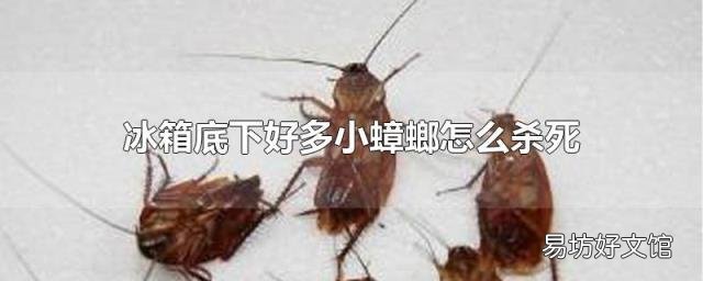 冰箱底下好多小蟑螂怎么杀死