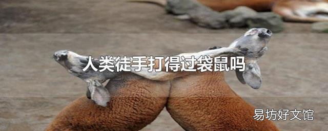 人类徒手打得过袋鼠吗