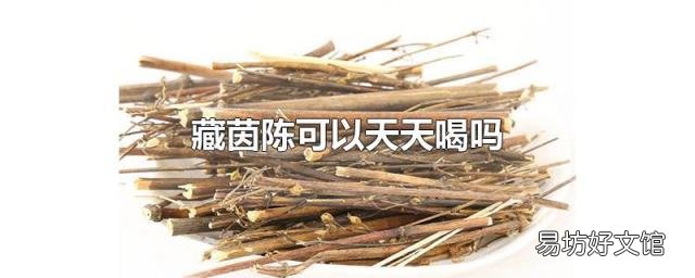 藏茵陈可以天天喝吗