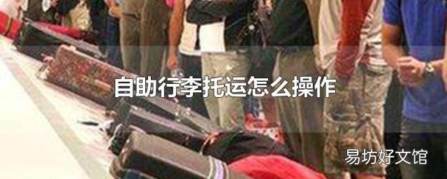 自助行李托运怎么操作