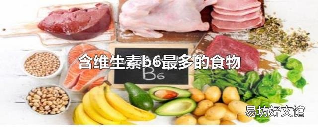 含维生素b6最多的食物