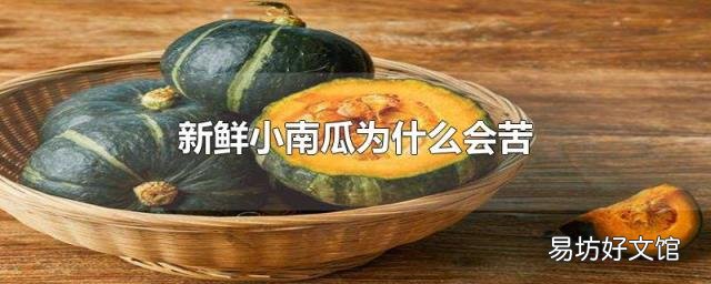 新鲜小南瓜为什么会苦