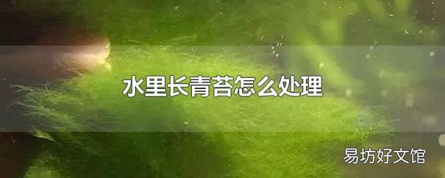 水里长青苔怎么处理