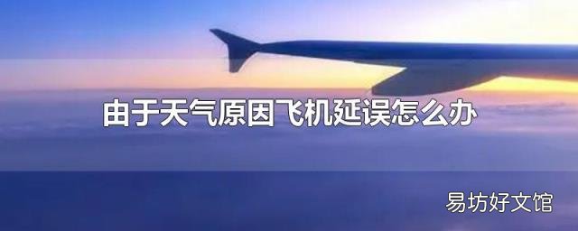 由于天氣原因飛機延誤怎么辦