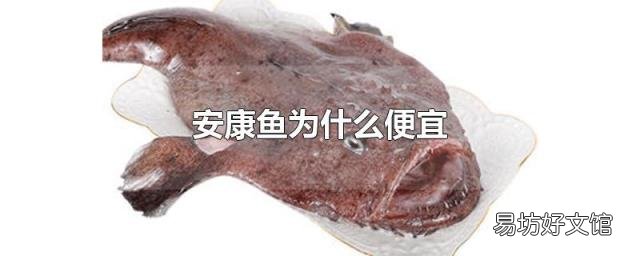 安康鱼为什么便宜