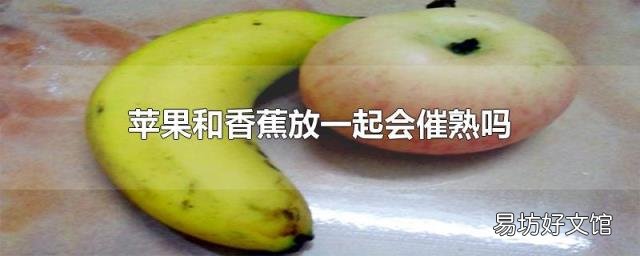 苹果和香蕉放一起会催熟吗