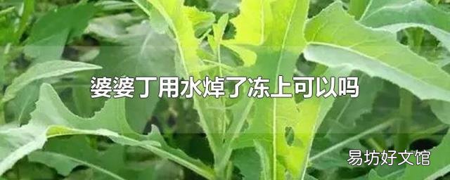 婆婆丁用水焯了冻上可以吗