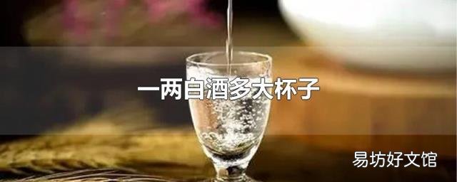 一两白酒多大杯子