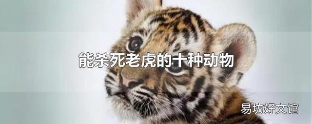 能杀死老虎的十种动物