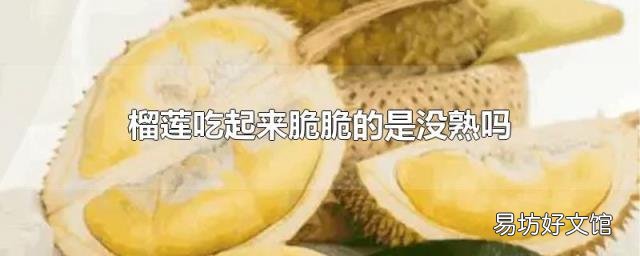 榴莲吃起来脆脆的是没熟吗