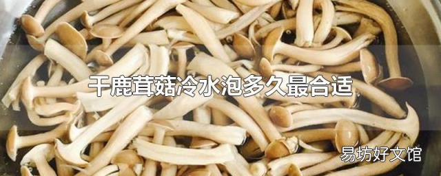 干鹿茸菇冷水泡多久最合适