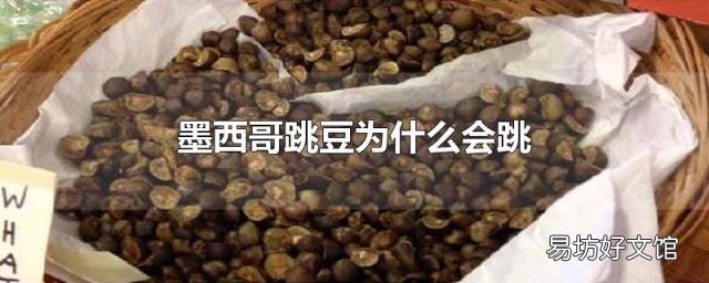 墨西哥跳豆为什么会跳