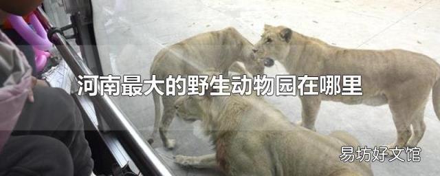 河南最大的野生动物园在哪里