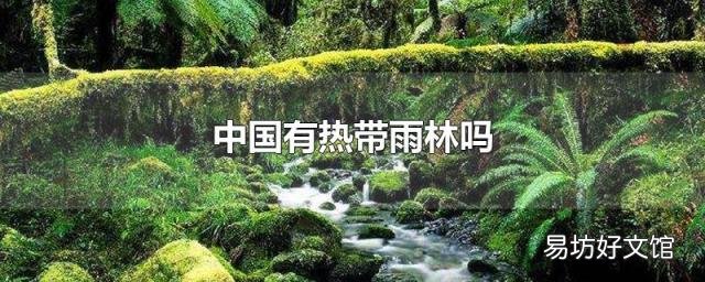中国有热带雨林吗