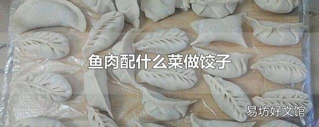 鱼肉配什么菜做饺子