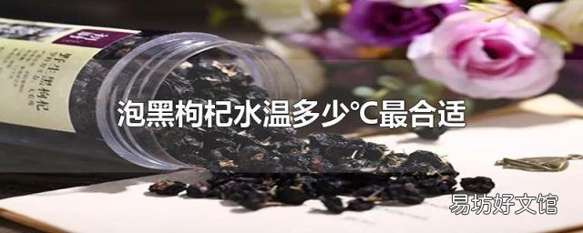 泡黑枸杞水温多少℃最合适