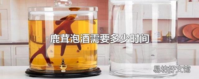 鹿茸泡酒需要多少时间