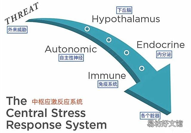 猫咪尿频是什么原因(猫咪尿频能自愈吗)