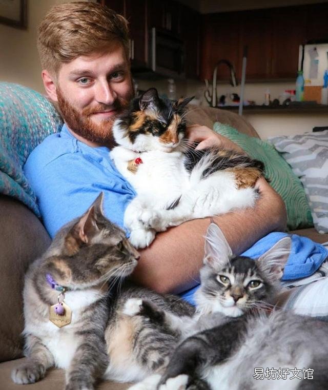 喜欢养猫的男人(养猫的男人什么性格)