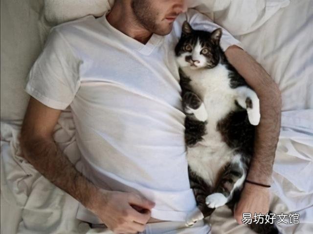 喜欢养猫的男人(养猫的男人什么性格)