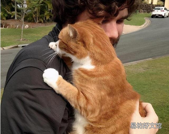 喜欢养猫的男人(养猫的男人什么性格)