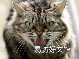 猫有狂犬病吗(家养的猫有狂犬病吗)