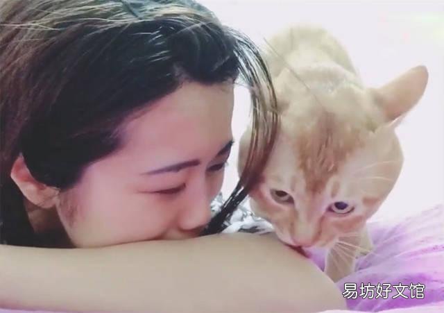 公猫好还是母猫好(家里养公猫好还是母猫好)