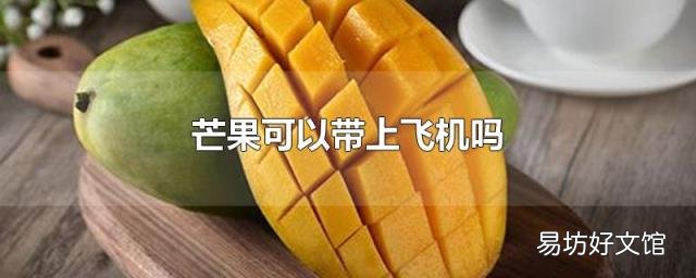 芒果可以带上飞机吗