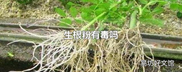 生根粉有毒吗