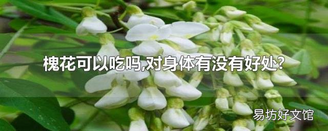 槐花可以吃吗,对身体有没有好处?